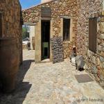 images/Oplevelser/Oliventrae Vouves/Olivetree-i-Vouves-07.jpg